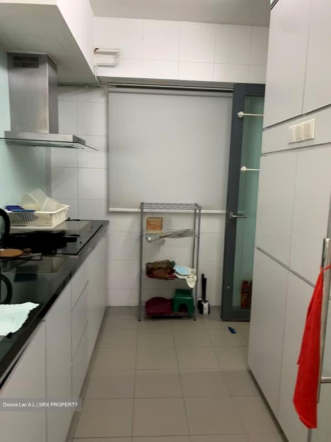 Blk 1C The Pinnacle@Duxton (Bukit Merah), HDB 4 Rooms #568896141